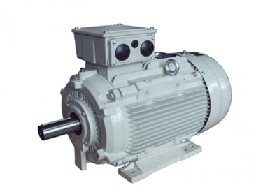 Special Application Motors