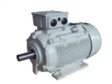 Special Application Motors