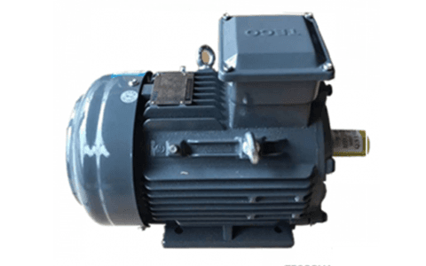 GB3 Energy Efficient Motors