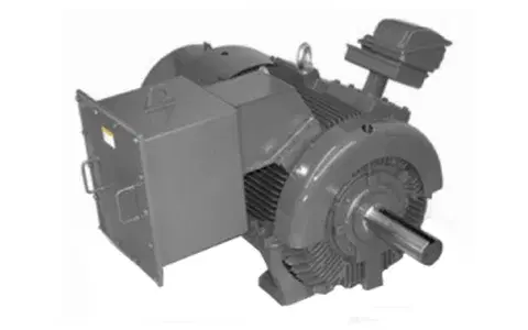 High Voltage Cast Iron Frame Motors