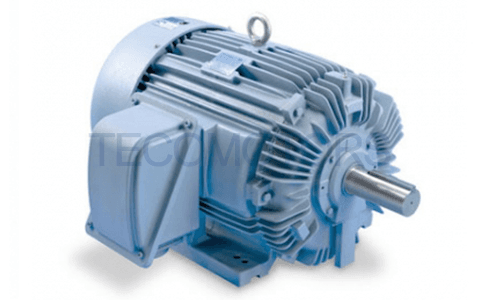 TECO NEMA IEEE-841 Motors