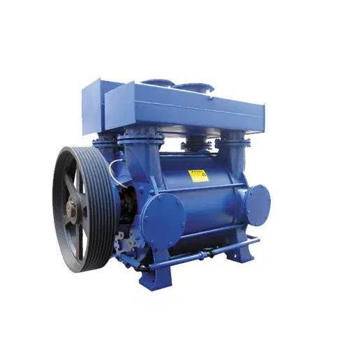 High-Capacity Liquid Ring Vacuum Pump