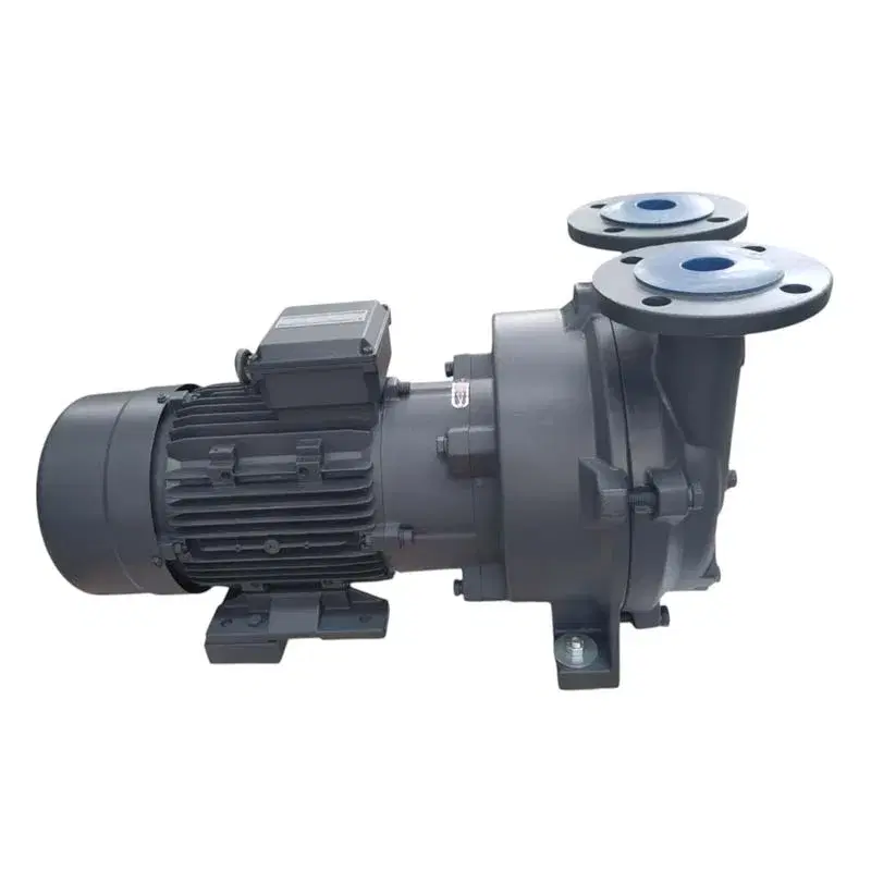 Compact Liquid Ring Vacuum Pump