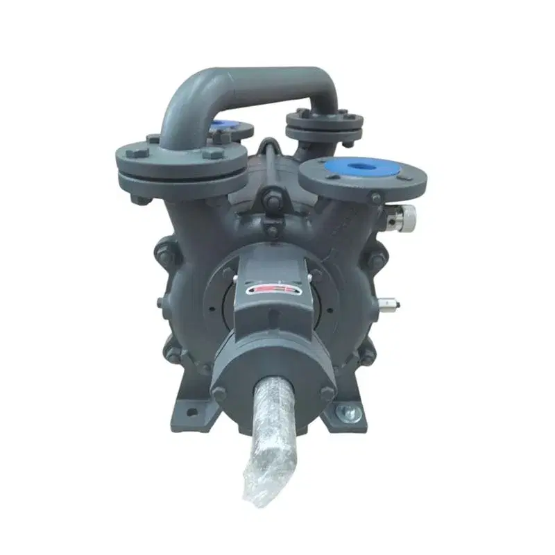 Double-Stage Liquid Ring Vacuum Pump
