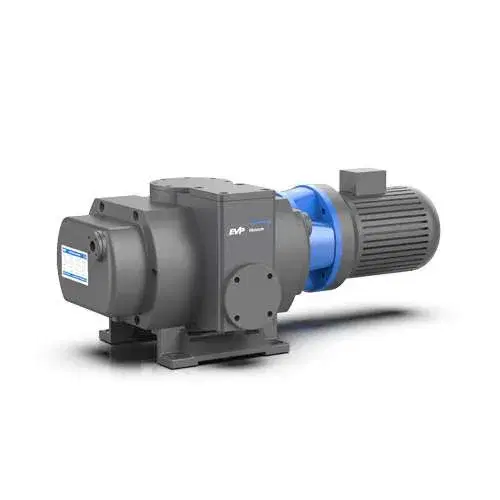 Roots Vacuum Pump (Booster)